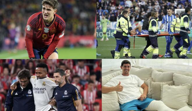 补中卫的选 补中卫的选